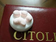 可爱的小猫爪