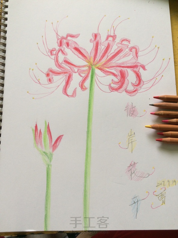 凑合着看(●◡●)ﾉ😄