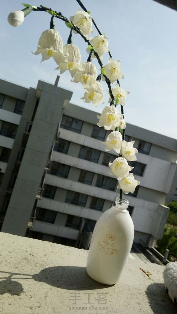 还没有做叶子🍃，拖延症患者要命啊(ಥ_ಥ) 第1张