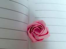美美哒的12瓣玫瑰（^_^）