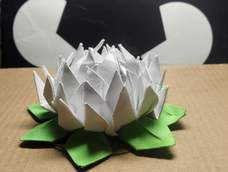 其实这个我造了一个升级版。更像莲花。之前看过我的教程的知道。就是把叶从中间剪开。我是用手撕的。感觉怎么样哈，这样好看吗