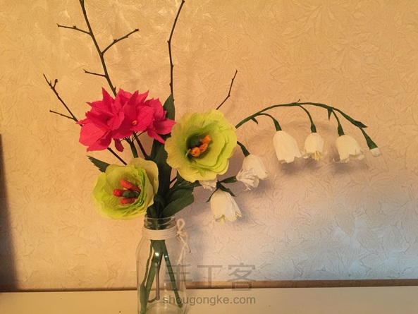 洋绣球，洋桔梗，铃兰 第2张