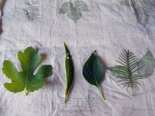 【Shellyli草木染系列】树叶拓染是继茶染之后衍生的另一作品，教程已同步。