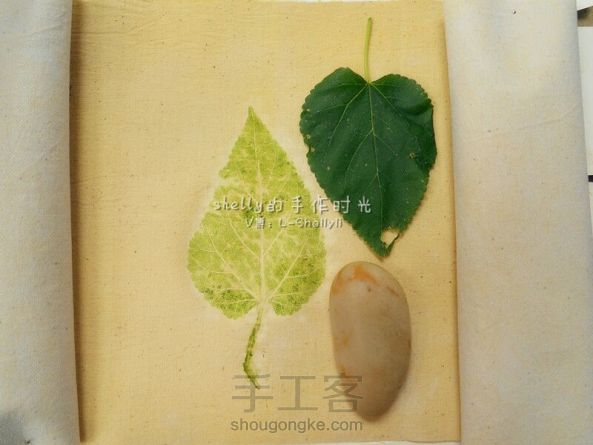 【Shellyli草木染系列】树叶拓染是继茶染之后衍生的另一作品，教程已同步。 第1张