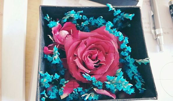 永生花成品 第3张