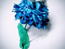 超级好看啊我的天!!!!