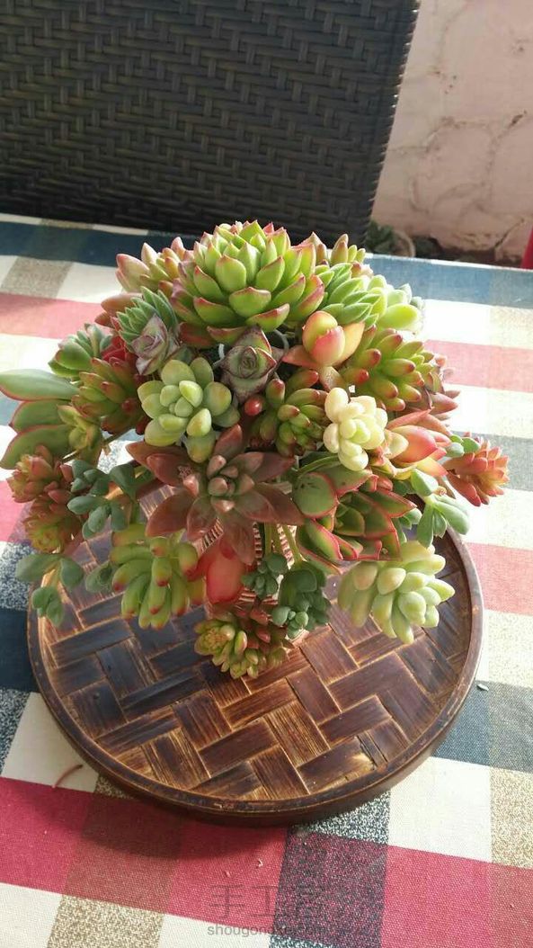 2017年从“心出发，继续分享多肉植物魅力，会以花艺作品为主，先分享第一个作品——新娘手捧花。 第1张