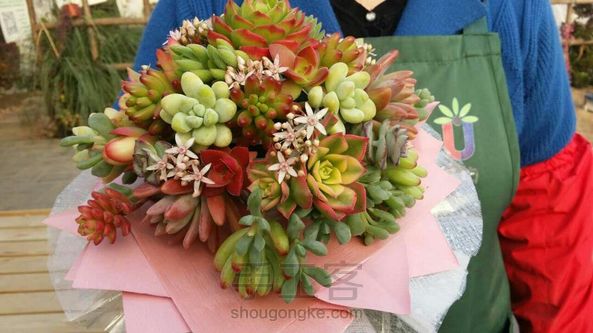 2017年从“心出发，继续分享多肉植物魅力，会以花艺作品为主，先分享第一个作品——新娘手捧花。 第8张