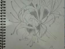 原谅我。画渣一个