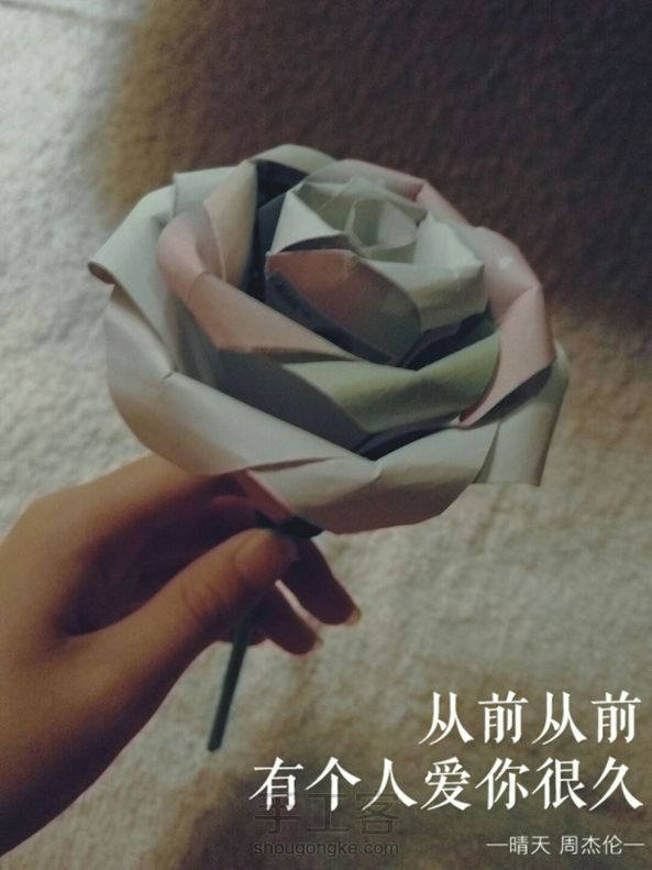 美美哒～ 第1张