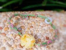 感谢老师的教程,特别详细,编出来很美,很喜欢,常动手,多动手,会不会离大神更近一点💏