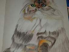 花了一个半小时画的😂改成了异瞳，眼型也有改动，emmmmmmm不像