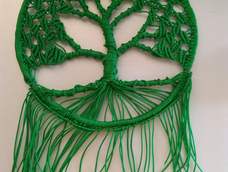 谢谢老师教程,也深刻明白了为什么你说要有耐心了。