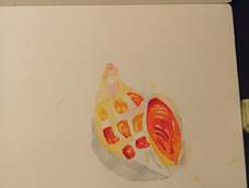 交作业
感觉自己阴影处理的不好（〃・・〃）