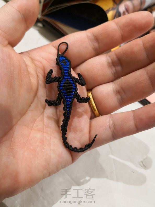 为什么感觉我的蜥蜴有缝隙  编的很紧了呀 第1张