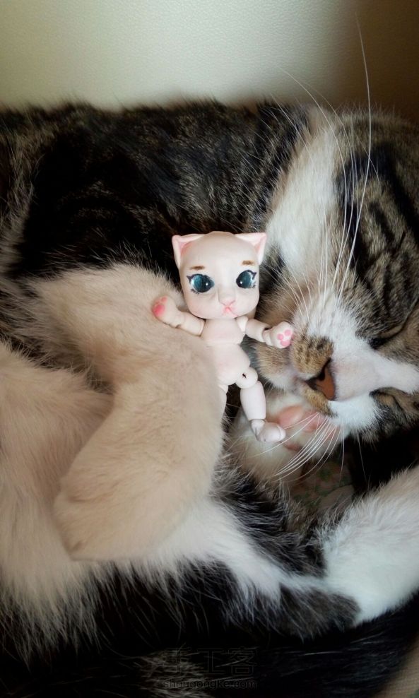 #叶罗丽，自制娃娃#，自己用粘土做的可动小猫，希望大家帮忙取个名字，有教程，欢迎大家捧场😘 第5张