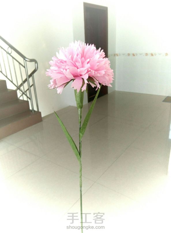 康乃馨(๑•̀ω•́๑)