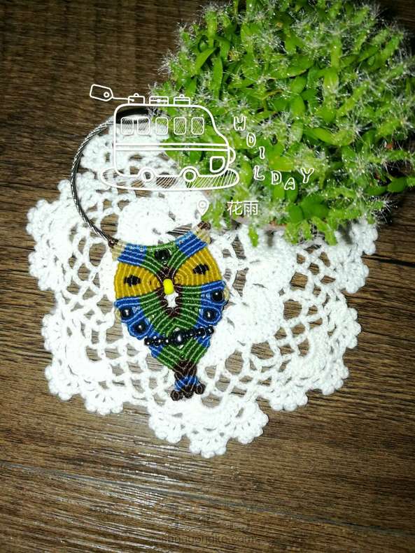 很可爱的猫头鹰。 第1张