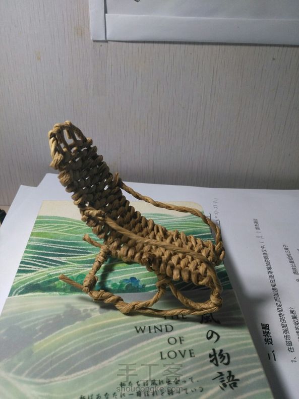 可以说是很不精致了😂考完试再把吊椅做出来~~~开心~~~还有感谢大大的教程~~ 第1张