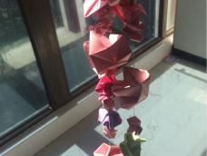我把折的花串在了一起，作为妈妈的生日礼物，哈哈🎁🎁🎁