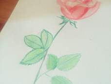 第一次画玫瑰花，感觉还可以^_^