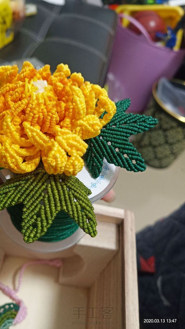 感谢大大的教程，很好看的菊花
😊😊😊 第2张