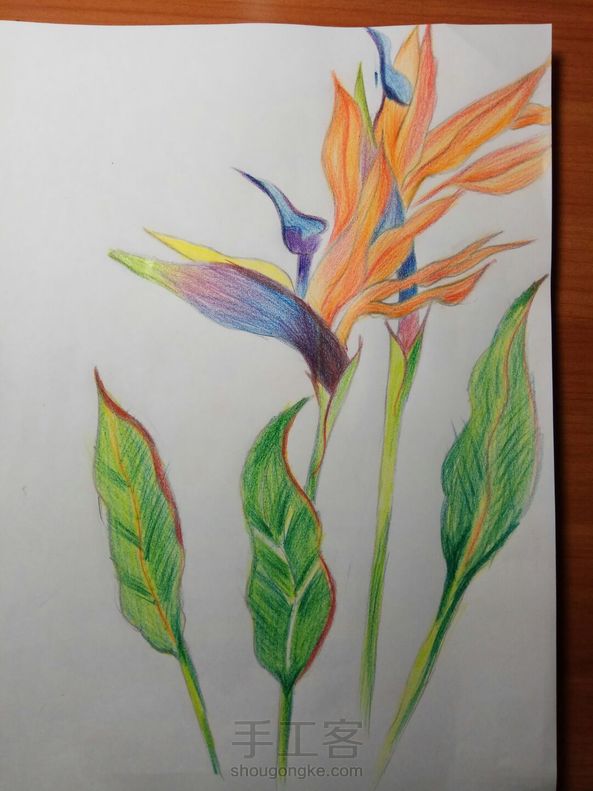 画这个，确实需要耐心