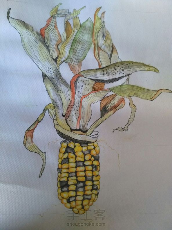 不太像哈 第1张