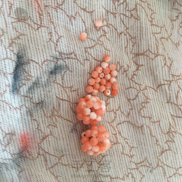 父亲节快乐，愿父亲开心健康每一天，今天也是个特殊日子，丫头中考，愿她超常发挥，考出优异的成绩，心想事成