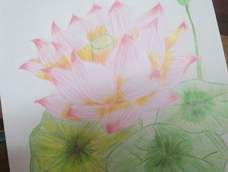 呵呵，有点难看😁😁