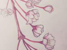 感觉自己没有那种feel