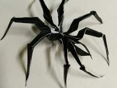 谢教程（折完吓到舍友了😂）