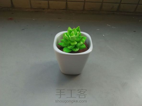 颜色太亮了？图二是真多肉和粘土多肉对比~