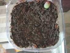 好久没发手工圈了!