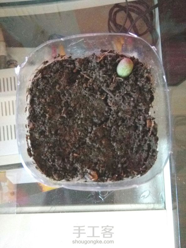 好久没发手工圈了！