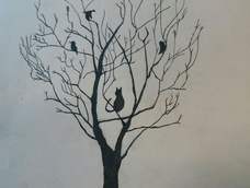 自我感觉良好……