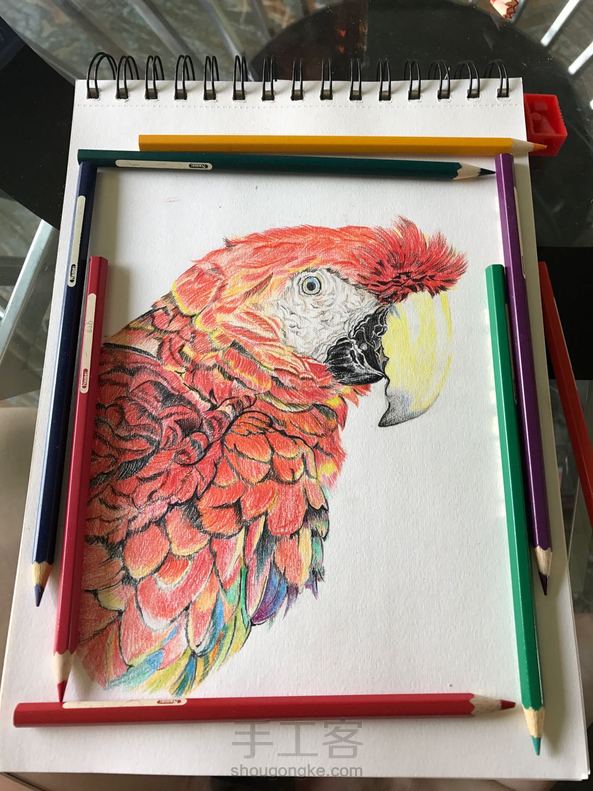 排毛好难！想哭