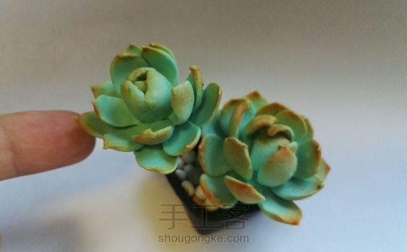 第六件学习作品，按照@猥琐的鱼爷教程做的，对多肉的叶子结构还是太不了解，捏着捏着就像莲花了