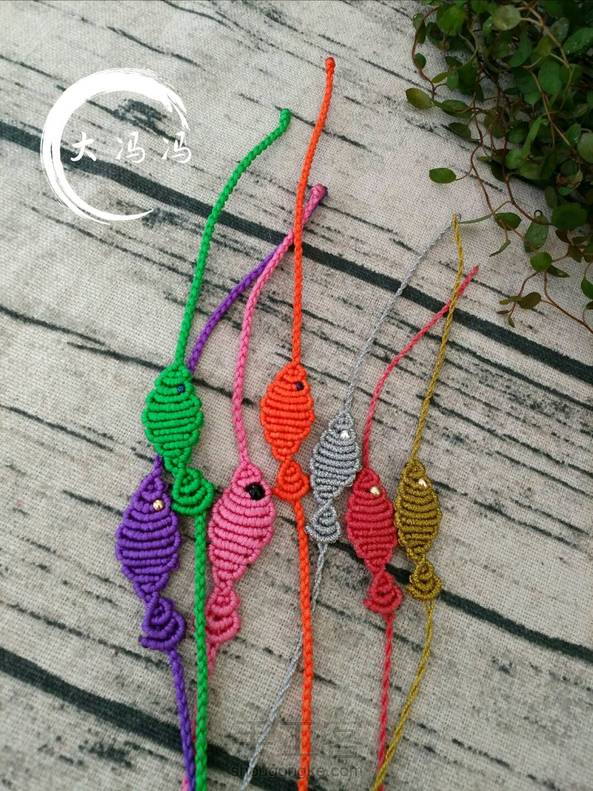 一天到晚游泳的鱼  很可爱