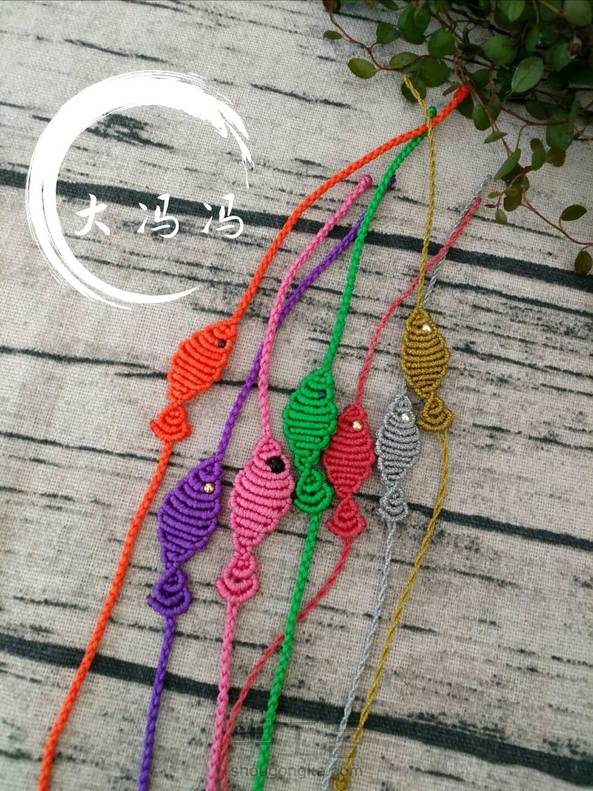 一天到晚游泳的鱼  很可爱 第1张