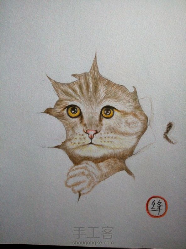 一只刚从被窝睡醒的猫