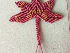 美丽心情,谢谢教程🍃