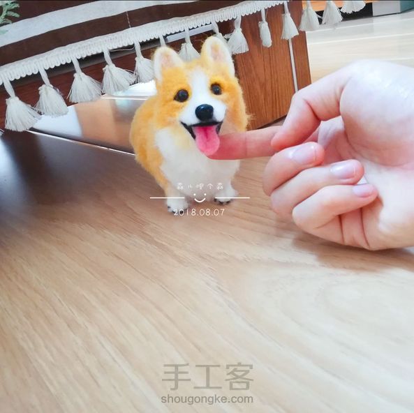 柯基柯基柯基柯基柯基柯基～腿长八厘米～