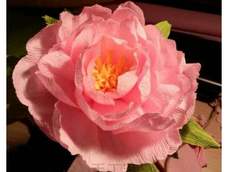 终于做成了！😁😁😁