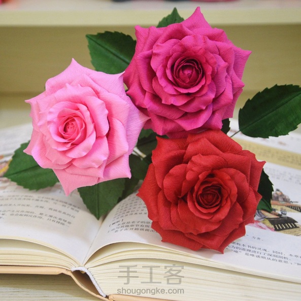 纸藤花，月季 第8张