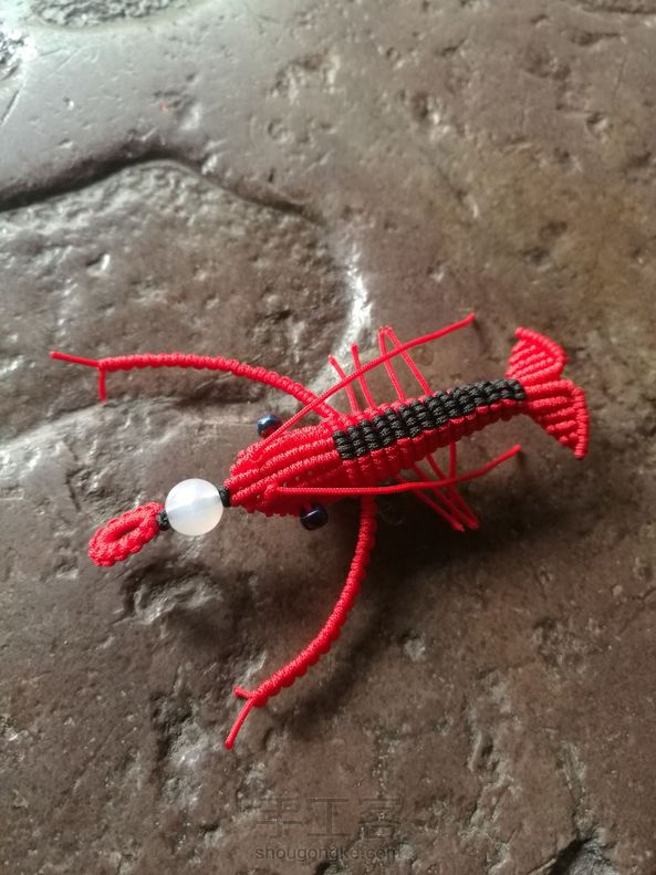 谢谢大大教程，龙虾很可爱