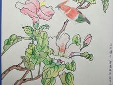 一花一沉沦   一木一孤生.....🍃