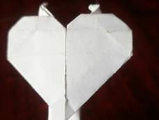 失败的作品 尾巴那部看不懂