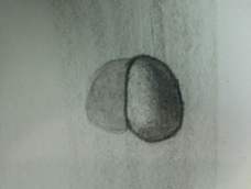 我尽然能画出来!