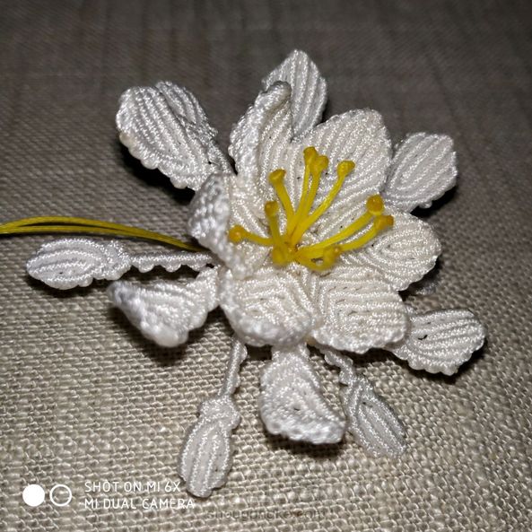 感谢老师教程！编出来美美哒，只不过用玉线编的我手疼！😁